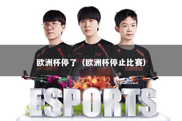 欧洲杯停了（欧洲杯停止比赛）