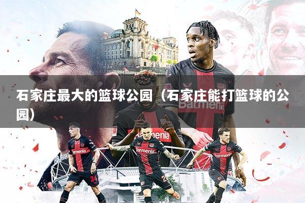 石家庄最大的篮球公园（石家庄能打篮球的公园）