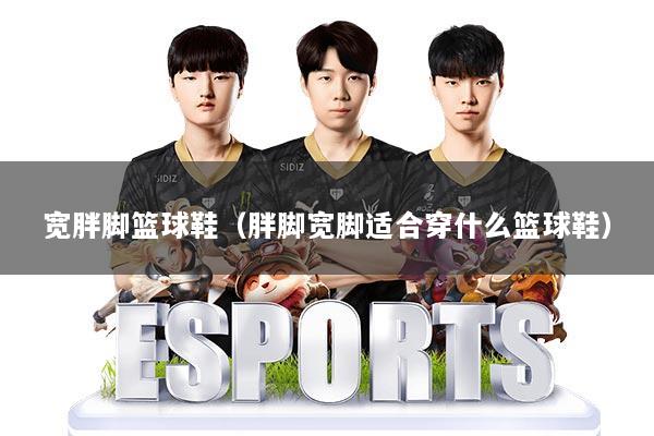 宽胖脚篮球鞋(胖脚宽脚适合穿什么篮球鞋)