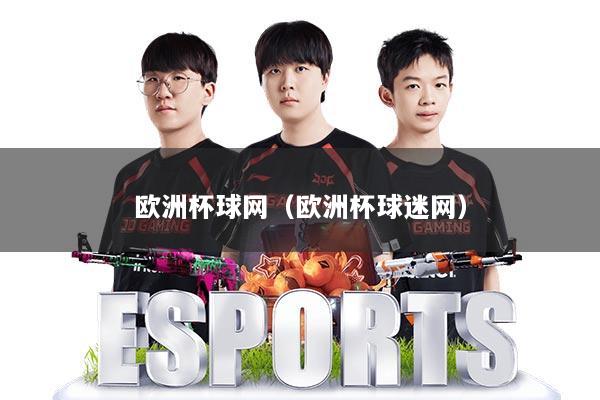 欧洲杯球网（欧洲杯球迷网）