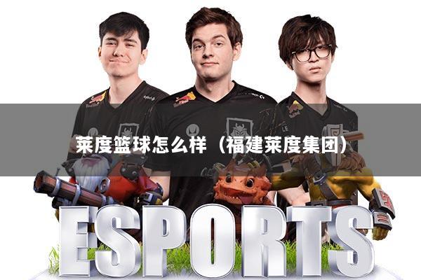 莱度篮球怎么样（福建莱度集团）